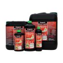 Green Buzz Nutrients Organic Bloom Liquid