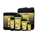 Green Buzz Nutrients More Roots