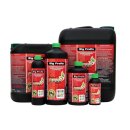 Green Buzz Nutrients Big Fruits