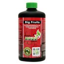 Green Buzz Liquids Big Fruits 500ml