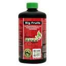 Green Buzz Nutrients Big Fruits 500 ml