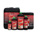 Green Buzz Nutrients Big Fruits 500 ml
