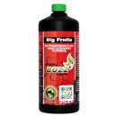 Green Buzz Liquids Big Fruits 1000ml