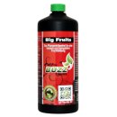 Green Buzz Nutrients Big Fruits 1 L