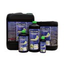 Green Buzz Nutrients Clean Fruits 1 L