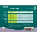Canna Terra Vega