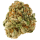 Grapes & Cream (Phinest-Cut)