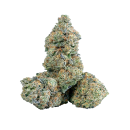 Carbon Fiber (Purple City Genetics-Cut)