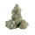 Carbon Fiber (Purple City Genetics-Cut)