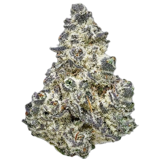 Detroit Muscle #4 (Leafdoctor-Cut)
