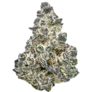 Detroit Muscle #4 (Leafdoctor-Cut)