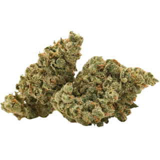 Banana Spliterz (Breeder-Cut)