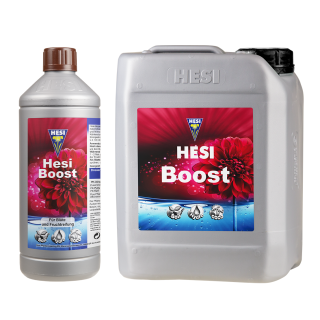 Hesi Boost