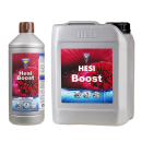 Hesi Boost