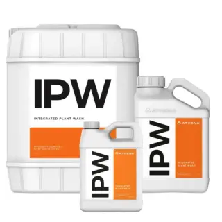 Athena IPW