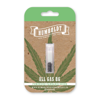 All Gas OG (fem.) – Humboldt Seed Company