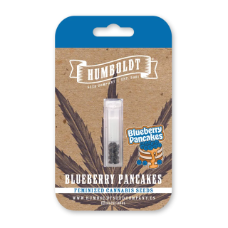 Blueberry Pancakes (fem.) – Humboldt Seed Company