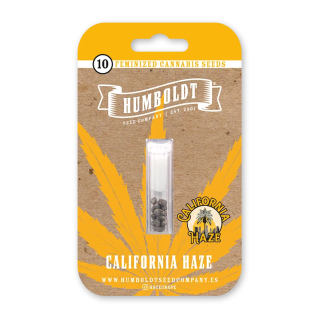 California Haze (fem.) – Humboldt Seed Company