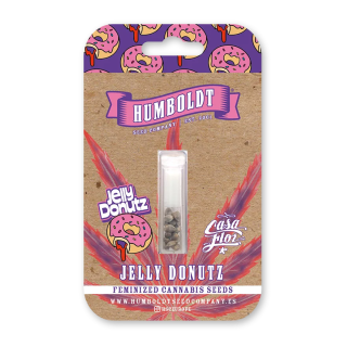 Jelly Donutz (fem.) – Humboldt Seed Company
