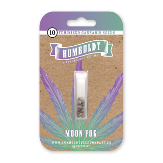 Moon Fog (fem.) – Humboldt Seed Company