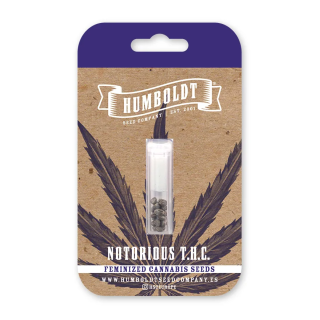 Notorious T.H.C. (fem.) – Humboldt Seed Company