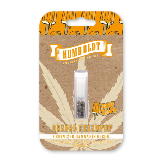 Orange Creampop (fem.) – Humboldt Seed Company