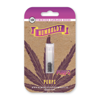 Purpz (fem.) – Humboldt Seed Company