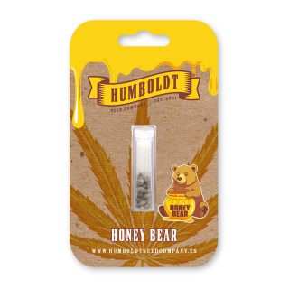 Honey Bear (fem.) – Humboldt Seed Company