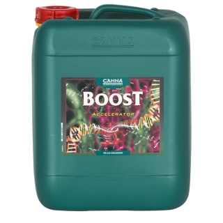 10 L