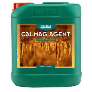 5 L