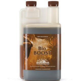 1 L