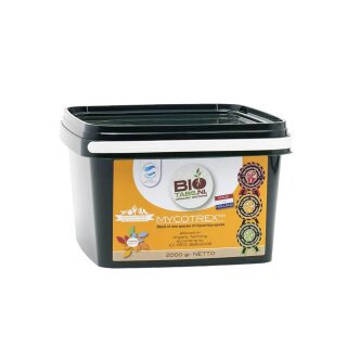 2 kg