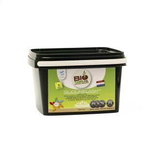 1,5 kg