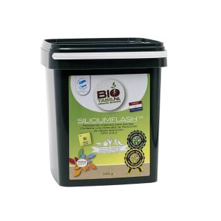 5 kg
