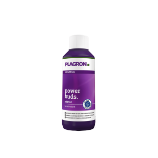 0,1 L