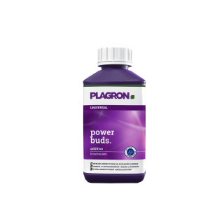 0,25 L